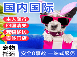 安顺黄果树机场物流国际宠物托运 【国